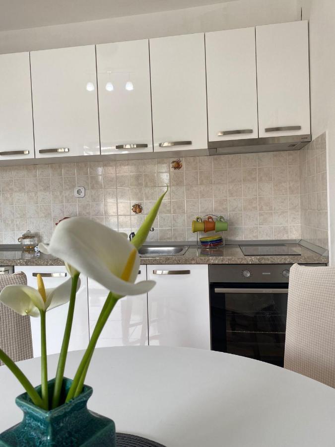 Studio Apartment Novak Čilipi Zewnętrze zdjęcie