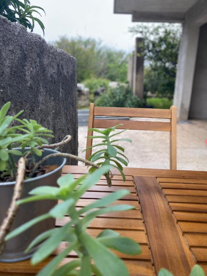 Studio Apartment Novak Čilipi Zewnętrze zdjęcie